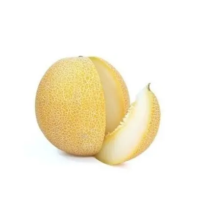 Gladial / Гладіал