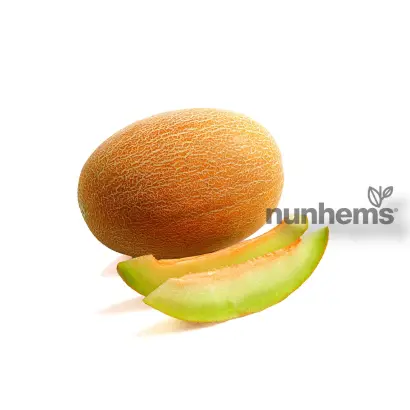 Delano / Делано