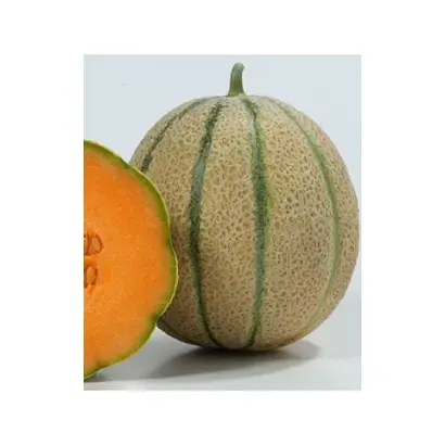 Eminenza / Еміненза