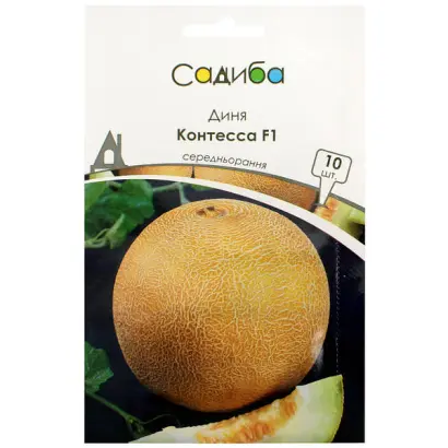 Constanta F1 / Константа F1