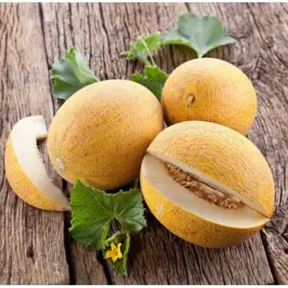 Credo F1 / Кредо F1