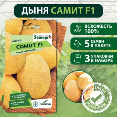 Samit F1 / Саміт F1