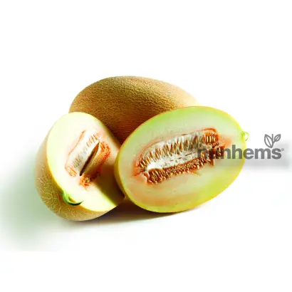 Sokkar / Соккар