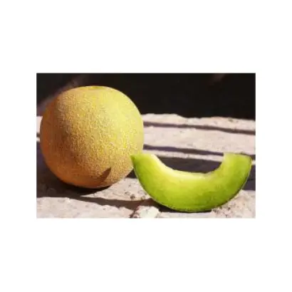 Tempo F1 / Темпо F1