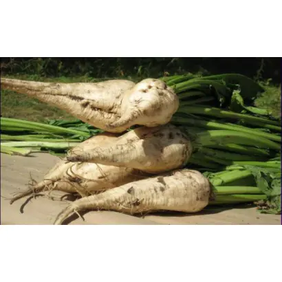 Авторитетний