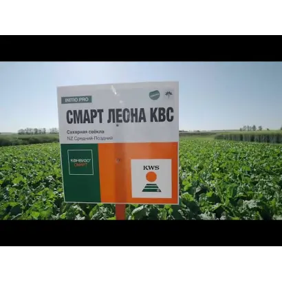 ANGARA SMART / АНГАРА СМАРТ