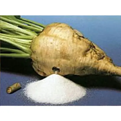 Asketa / Аскета