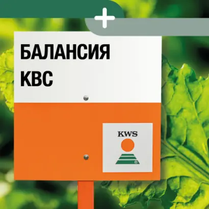 BALANCIA KWS / БАЛАНСІЯ КВС