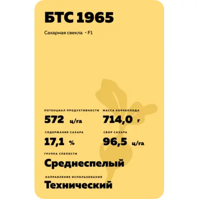 BTS 2645 / БТС 2645