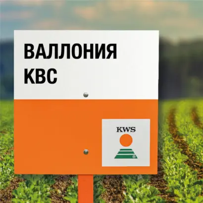 WALLONIA KWS / ВАЛЛОНІЯ КВС