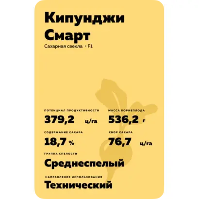 ICARUS SMART / ІКАРУС СМАРТ