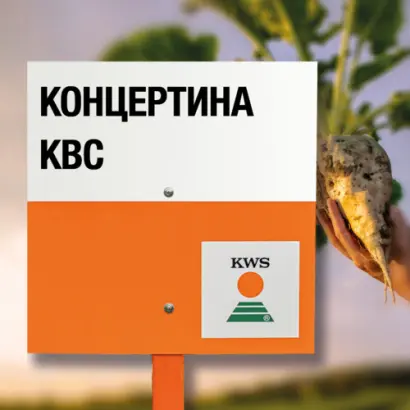 CONCERTINA KWS / КОНЦЕРТІНА КВС