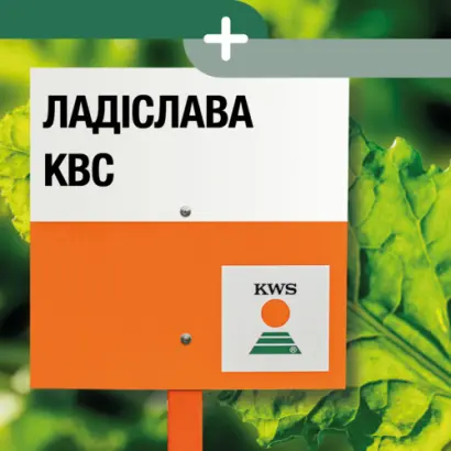 LADISLAVA KWS / ЛАДІСЛАВА КВС