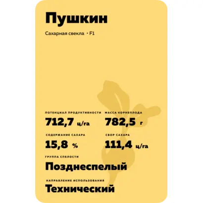 PUSCHKIN / ПУШКІН