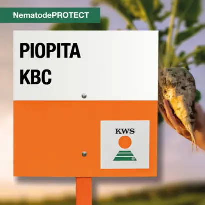 RIORITA KWS / РІОРІТА КВС