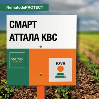 SMART ATTALA KWS / СМАРТ АТТАЛА КВС