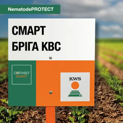 SMART BRIGA KWS / СМАРТ БРІГА КВС