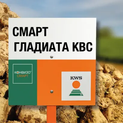 SMART GLADIATA KWS / СМАРТ ГЛАДІАТА КВС