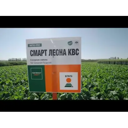 SMART GINEVRA KWS / СМАРТ ДЖІНЕВРА КВС