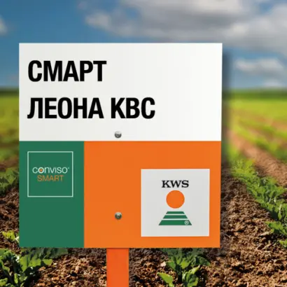 SMART LEONA KWS / СМАРТ ЛЕОНА КВС