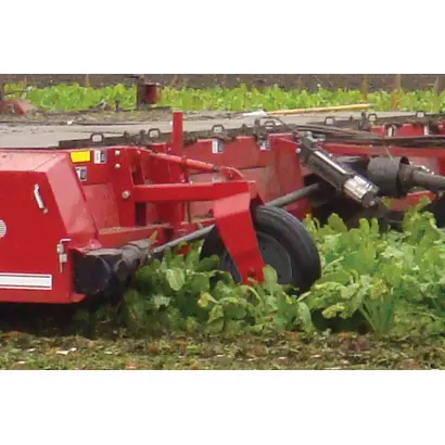 ZEPPELIN / ЦЕППЕЛИН