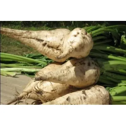 Шевченківський