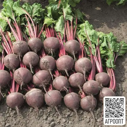 Астро (С/4-У-91) / Астро