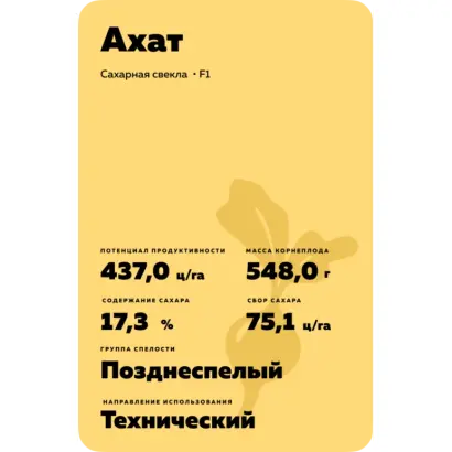 Achat / Ахат