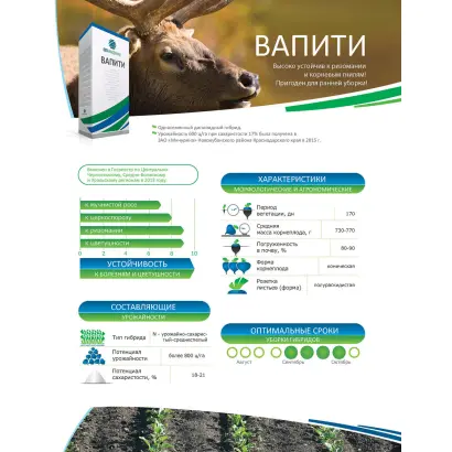 Wapiti / Вапіті