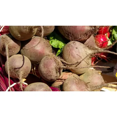 Верхняцький ЧС 63