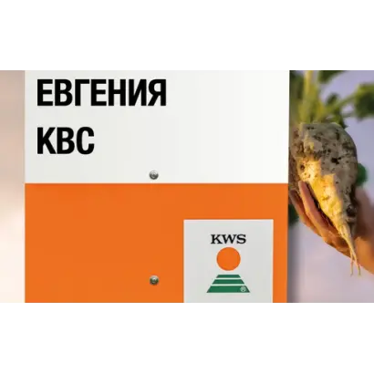 Eugenia / Євгенія