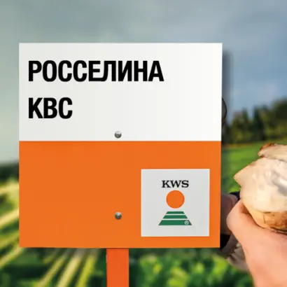 KONSTANZIA KWS / КОНСТАНЦІЯ КВС