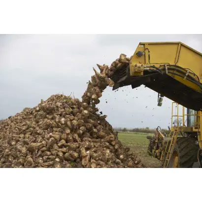 Кубанський ЧС 36