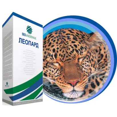 Leopard / Леопард