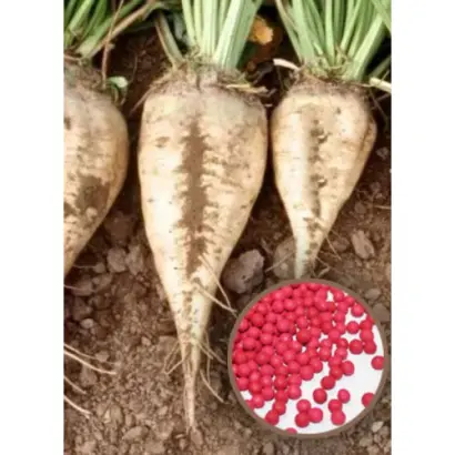 Noricum / Норікум