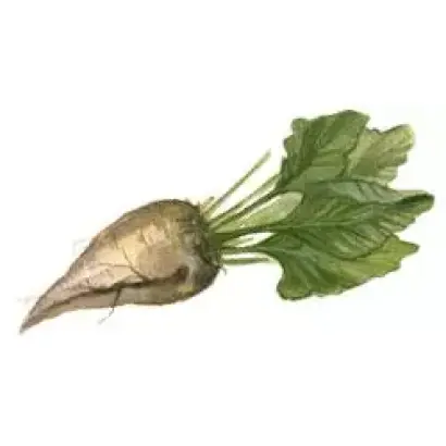 NS-H-082 RC / НС-Х-082 РЦ