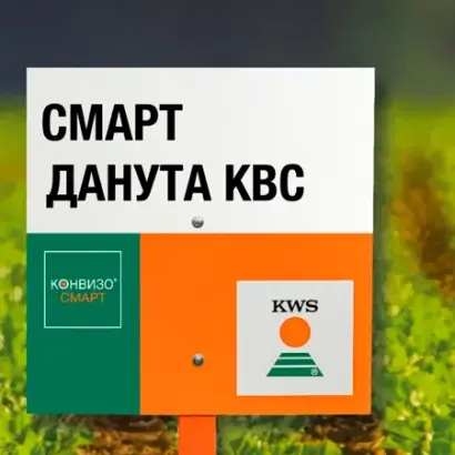 SMART DANUTA KWS / СМАРТ ДАНУТА КВС