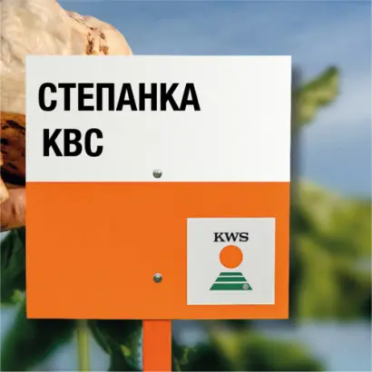 STEPANKA KWS / СТЕПАНКА КВС