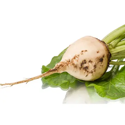 Хилма / Хілма