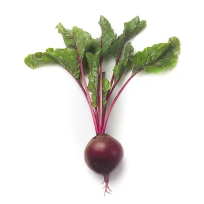 Zeppo RZ F1 / Зепо РЗ F1