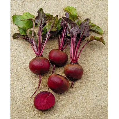 Camaro / Камаро