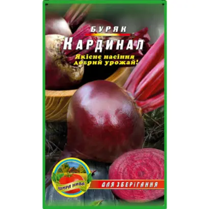 Kardynal / Кардинал