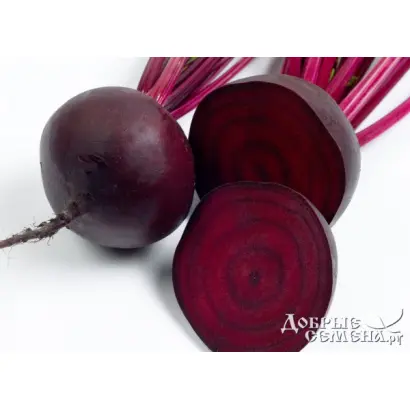 Kestrel / Кестрел