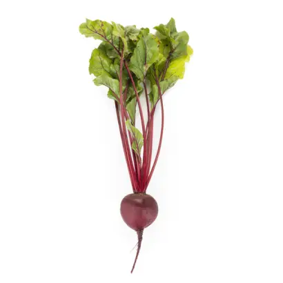 Roditi / Родіті