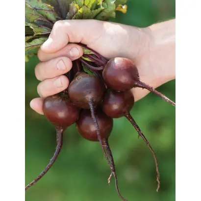 Babybeat / Бейбібіт