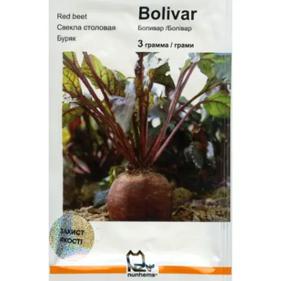 Боливар / Болівар