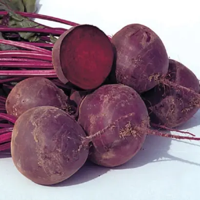 Warrior F1 / Ворріор F1