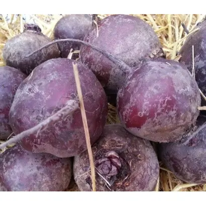 MONOPOLY MODELLA / МОНОПОЛІ МОДЕЛЛА