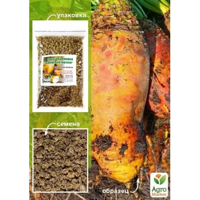 Львовская желтая / Львівський жовтий