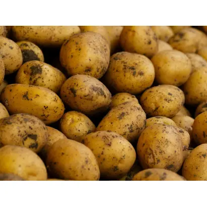 Acoustic / Акустік